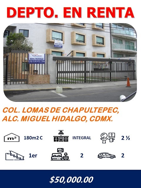 DECORACIÓN DE OFICINAS 